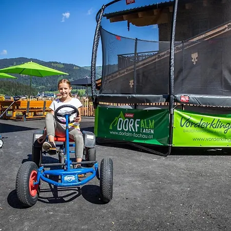 Bauernhof Vorderklinglhub Flachau