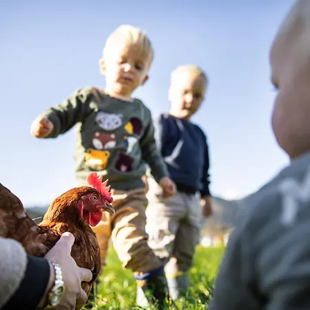 Farma Schiefergut Family