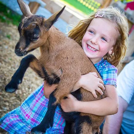 Bauernhof Vorderklinglhub Farma *