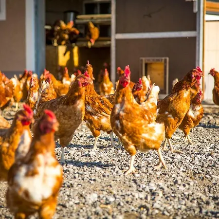 Farma Bauernhof Vorderklinglhub