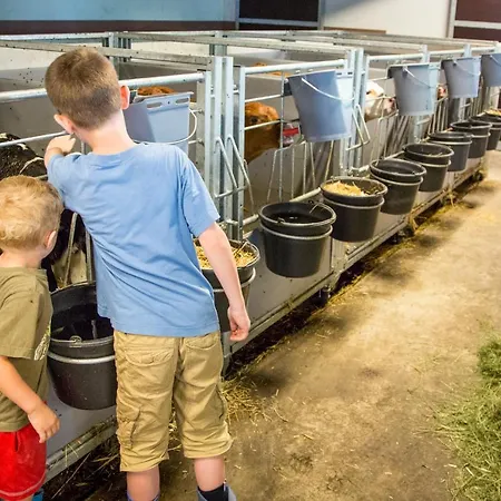 Bauernhof Vorderklinglhub Flachau