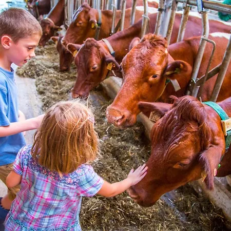 Bauernhof Vorderklinglhub