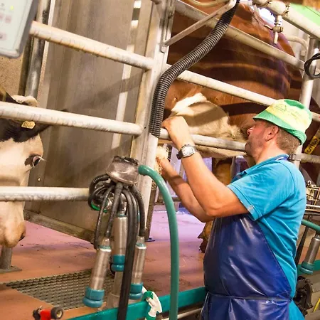 Bauernhof Vorderklinglhub