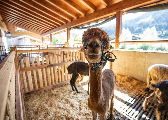 Bauernhof Vorderklinglhub Farm stay *