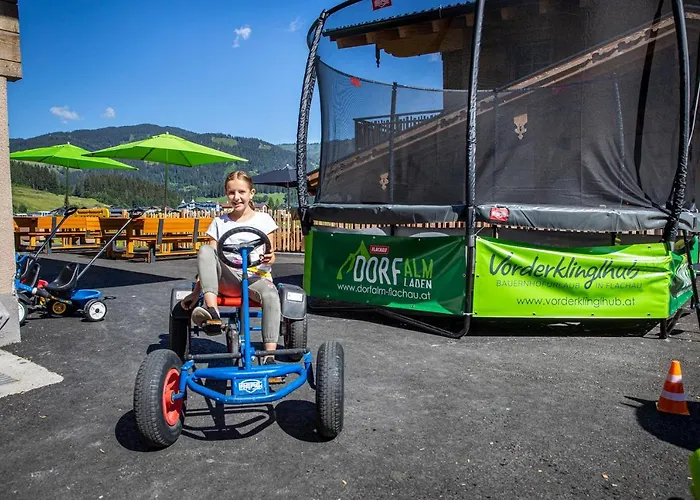 Bauernhof Vorderklinglhub Flachau
