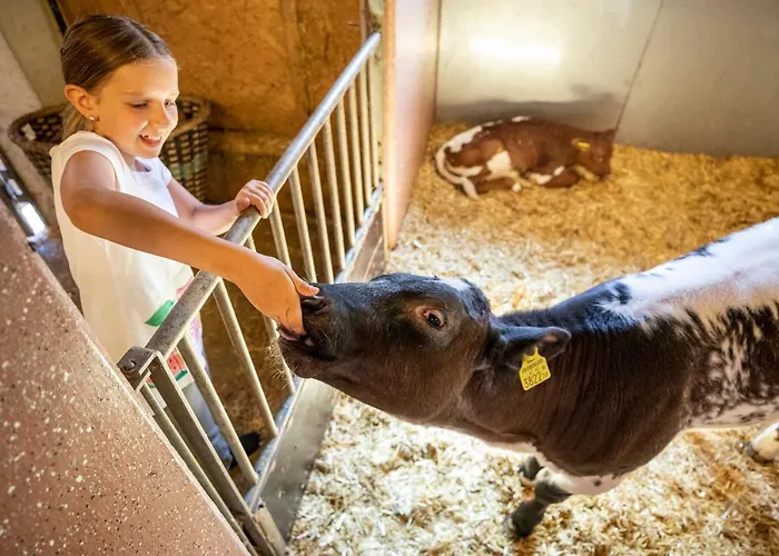 Bauernhof Vorderklinglhub Farma