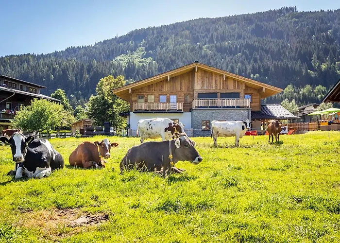 Farm stay Bauernhof Vorderklinglhub *