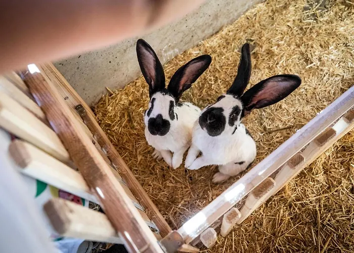 Bauernhof Vorderklinglhub