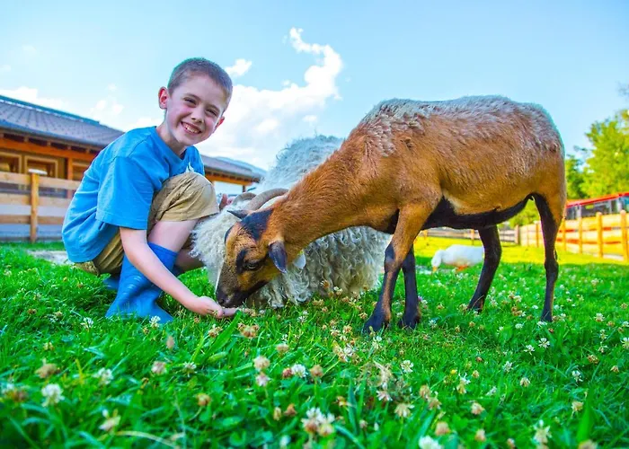 Bauernhof Vorderklinglhub