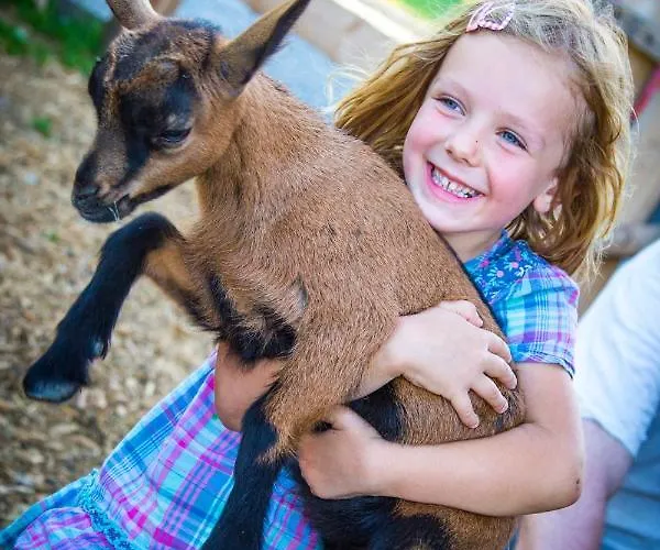 Bauernhof Vorderklinglhub Farm stay *