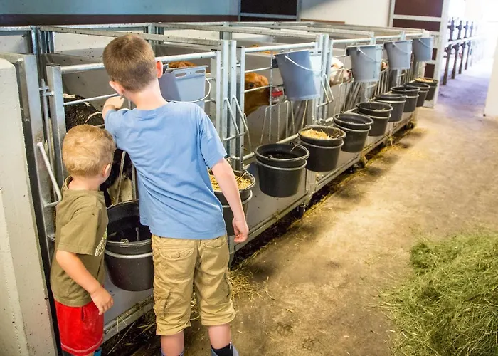 Bauernhof Vorderklinglhub Flachau