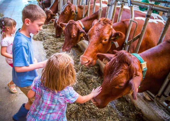 Bauernhof Vorderklinglhub
