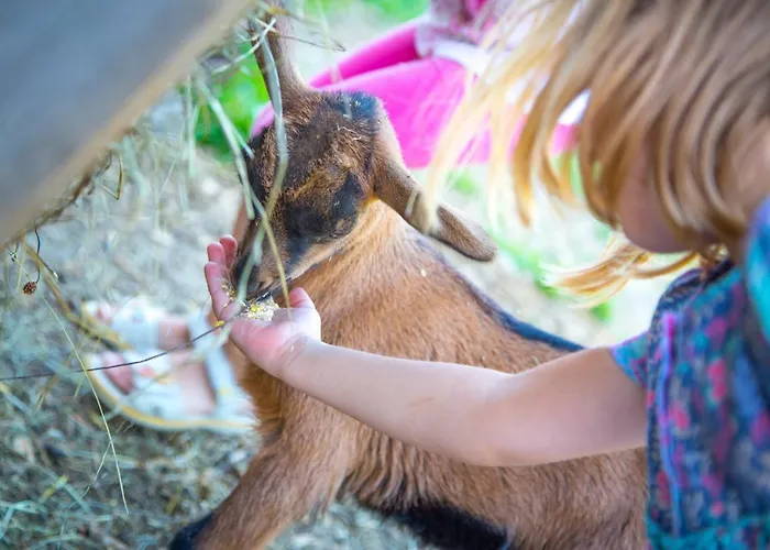 Farm stay Bauernhof Vorderklinglhub Flachau