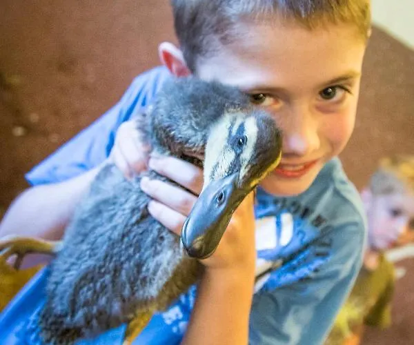 Bauernhof Vorderklinglhub * Flachau