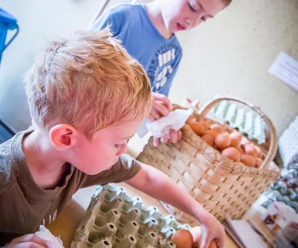 Bauernhof Vorderklinglhub Farm stay Flachau