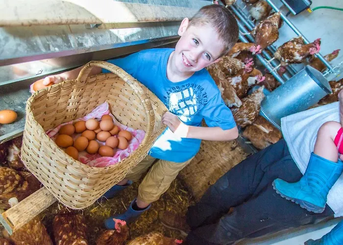 Bauernhof Vorderklinglhub